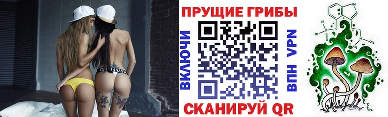 Псилоцибиновые грибы мухоморы  Яхрома 